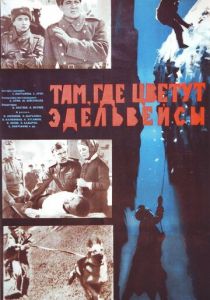 Там, где цветут эдельвейсы 1965 скачать торрентом