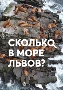 Сколько в море львов? 2018 скачать торрентом