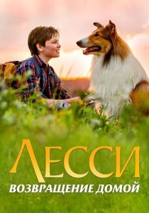 Лесси. Возвращение домой 2020 скачать торрентом