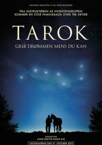 Поймать мечту 2013 скачать торрентом