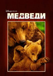 Медведи 2014 скачать торрент