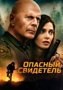 Опасный свидетель 2022 скачать торрентом