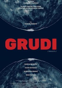 Grudi 2020 скачать торрентом