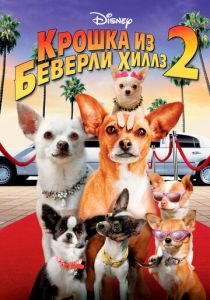 Крошка из Беверли-Хиллз 2 2010 скачать торрентом