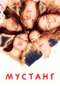 Мустанг 2015 скачать торрентом