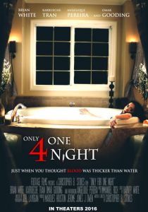 Только на одну ночь 2016 скачать торрентом