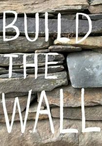 Построить стену 2020 скачать торрентом