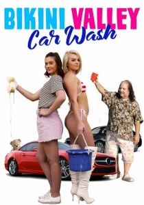 Автомойка Бикини Вэлли 2020 скачать торрентом