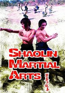 Боевые искусства Шаолиня 1974 скачать торрентом