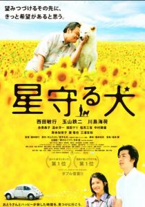 Пёс, смотрящий на звезды 2011 скачать торрент