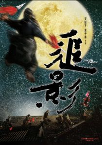 В погоне за тенью 2009 скачать торрент