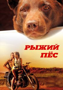 Рыжий пес 2011 скачать торрент