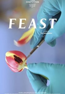 Пир 2021 скачать торрент