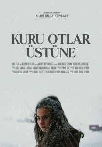 О сухой траве 2023 скачать торрентом