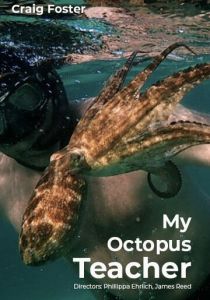 Мой учитель-осьминог 2020 скачать торрентом