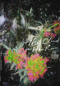 Облако в её комнате 2020 скачать торрент