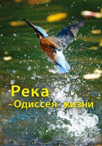 Река - одиссея жизни 2013 скачать торрентом