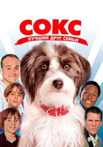 Сокс. Лучший друг семьи 2013 скачать торрентом