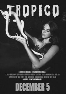 Тропико 2013 скачать торрентом