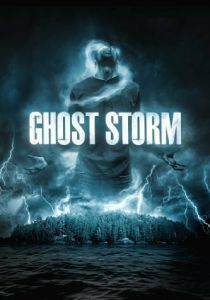 Призрачный шторм 2011 скачать торрентом