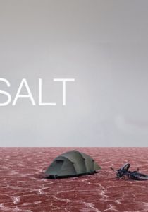 Соль 2009 скачать торрент