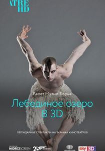Мэтью Борн: Лебединое озеро 3D 2012 скачать торрентом
