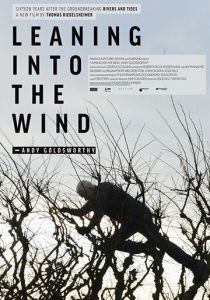 Leaning Into the Wind: Andy Goldsworthy 2017 скачать торрентом