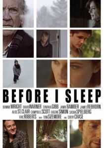 Перед сном 2013 скачать торрентом