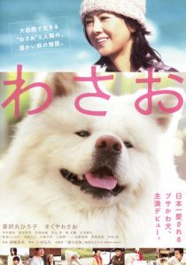 Васао 2011 скачать торрент