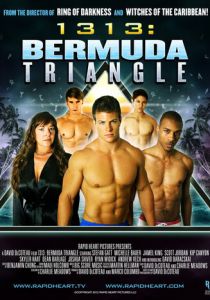 1313: Бермудский треугольник 2012 скачать торрентом