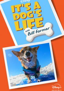 It's A Dog's Life 2020 скачать торрентом