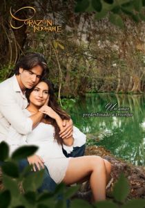 Непокорное сердце 2013 скачать торрентом