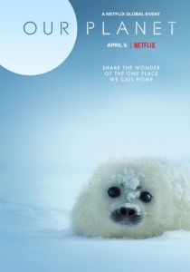 Наша планета 2019 скачать торрентом