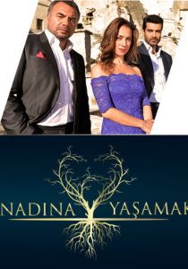 Жить вопреки всему 2013 скачать торрентом