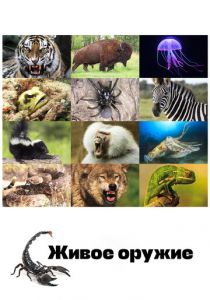 Живое оружие 2016 скачать торрентом