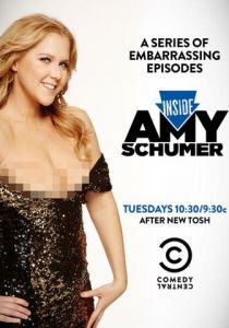 Внутри Эми Шумер 2013 скачать торрентом