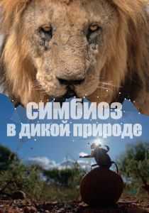 Симбиоз в дикой природе 2023 скачать торрентом