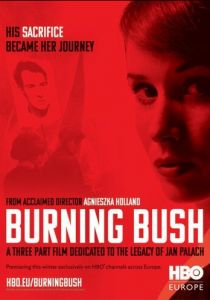 Неопалимая купина 2013 скачать торрент