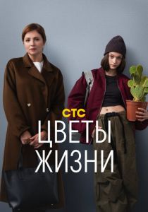 Цветы жизни 2024 скачать торрентом