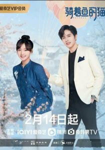 Кошка и рыба 2023 скачать торрентом