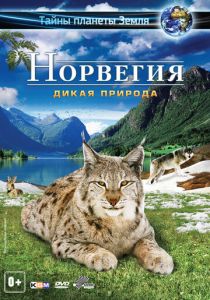 Норвегия 3D: Дикая природа 2013 скачать торрент